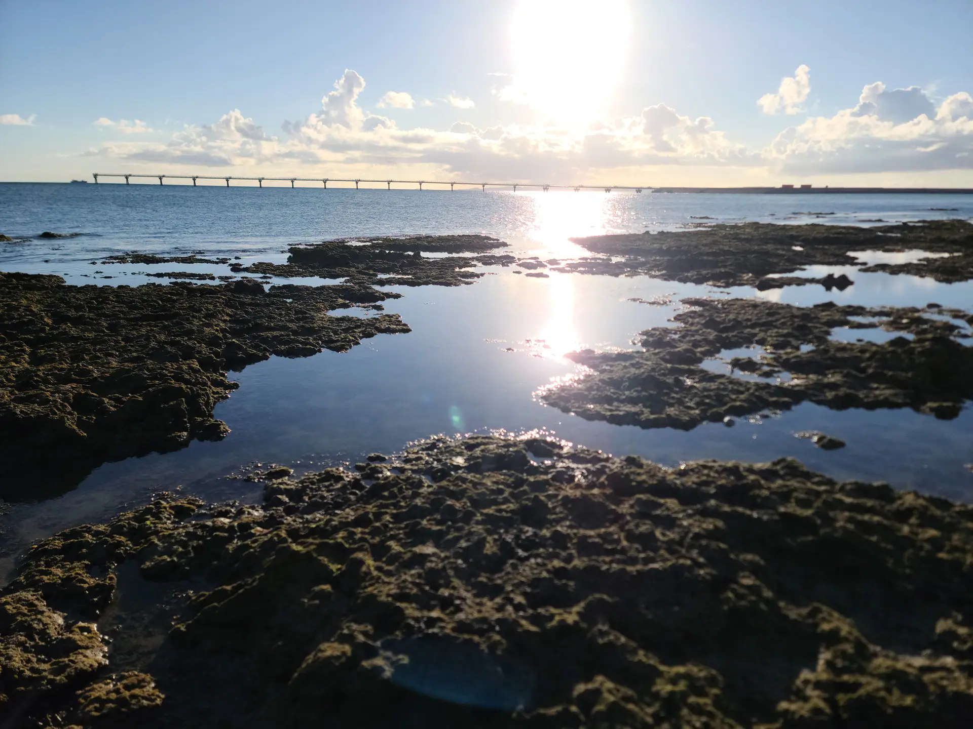 沖縄の海